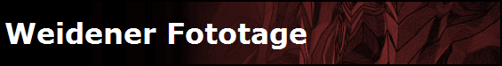 Weidener Fototage
