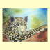Leopard Acryl und �l