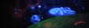 UV-Bild Milleniumfalke Orginalgr��e 0,60m x 2m